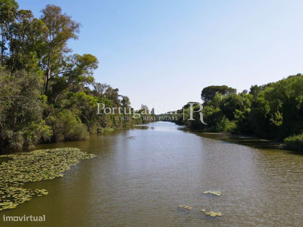 Herdade com 134 hectares em Beja - Grande imagem: 3/50