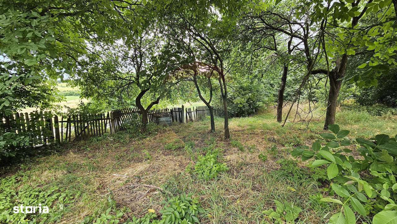 Teren intravilan 2,036mp Pădureni-Șendriceni, Botoșani - Imagine principală: 4/5