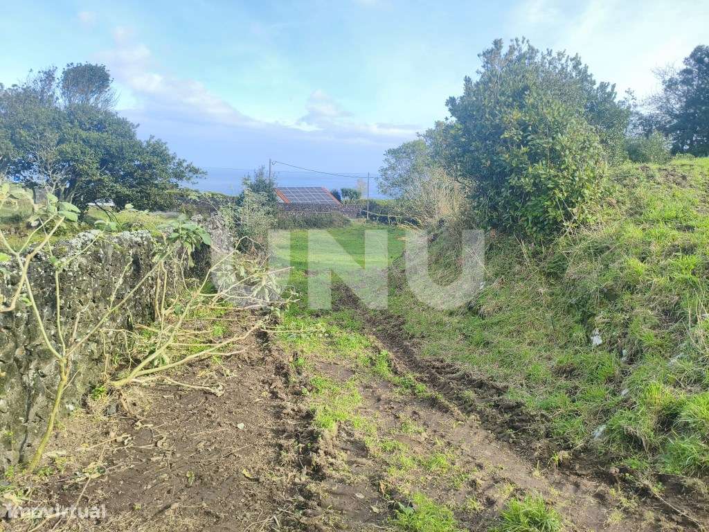 Terreno Rústico- Capelas-7