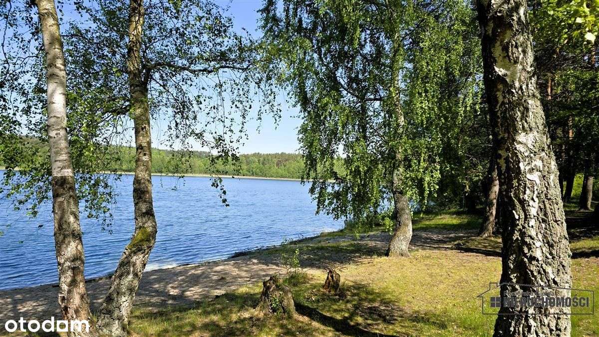 Okole - Grunt siedliskowy w otoczeniu lasu ok. 100-14