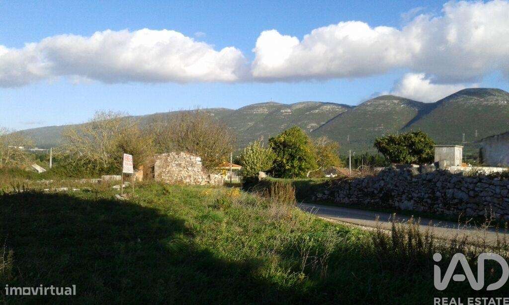 Terreno Agrícola em Aljubarrota - Grande imagem: 4/7