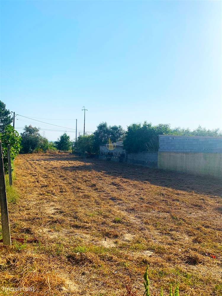 Terreno Urbano  Venda em Abraveses,Viseu - Grande imagem: 3/4