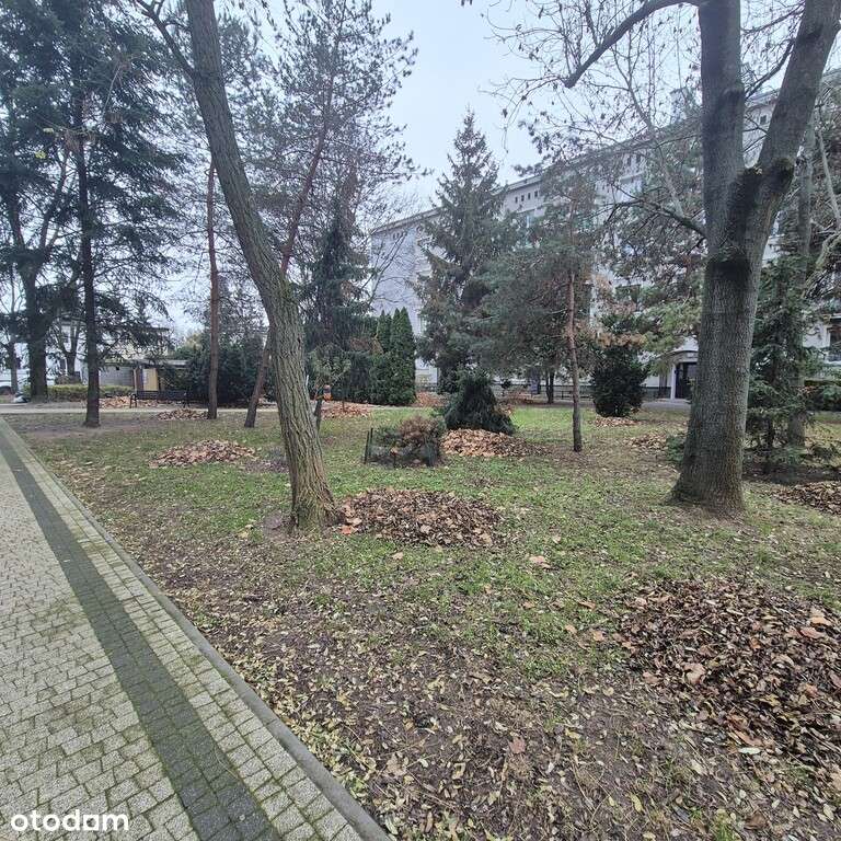 Klimatyczne mieszkanie, metro Słodowiec-10