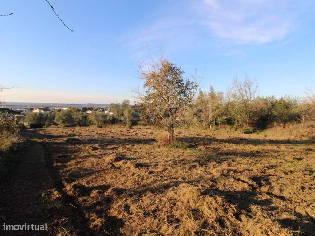 Terreno situado em Telhões, União das Freguesia de Taveiro, Ameal e... - Grande imagem: 5/11