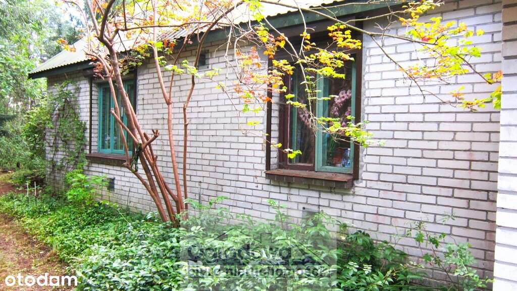 Dom w leśnej okolicy, 6 cio izbowy-1