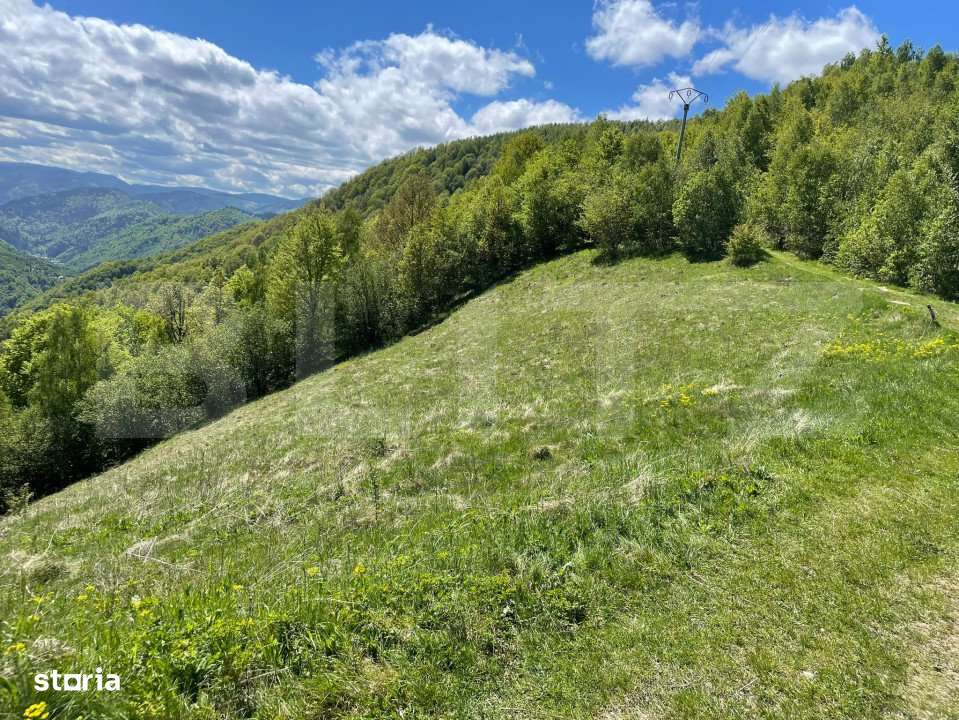 Intravilan de vanzare in Satul Plopi, se poate parcela Comuna Valea Ie - Imagine principală: 2/11