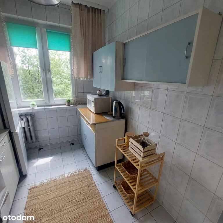 Słoneczne 2 pokojowe z 2 balkonami, blisko Pogorii - Pełny obrazek: 3/13