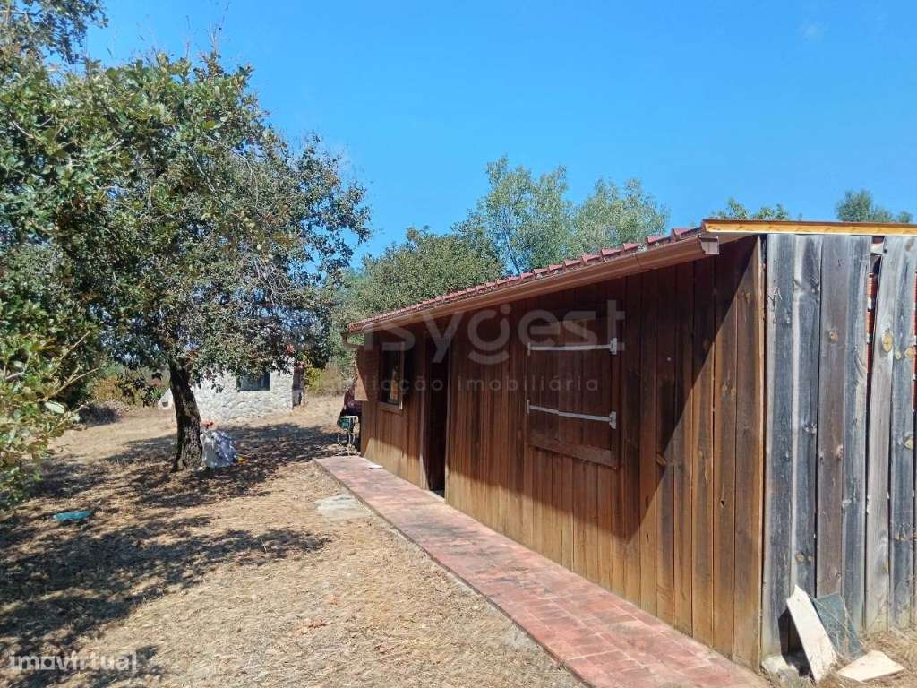 Terreno com casa de madeira em Evora de Alcobaça - Grande imagem: 4/15