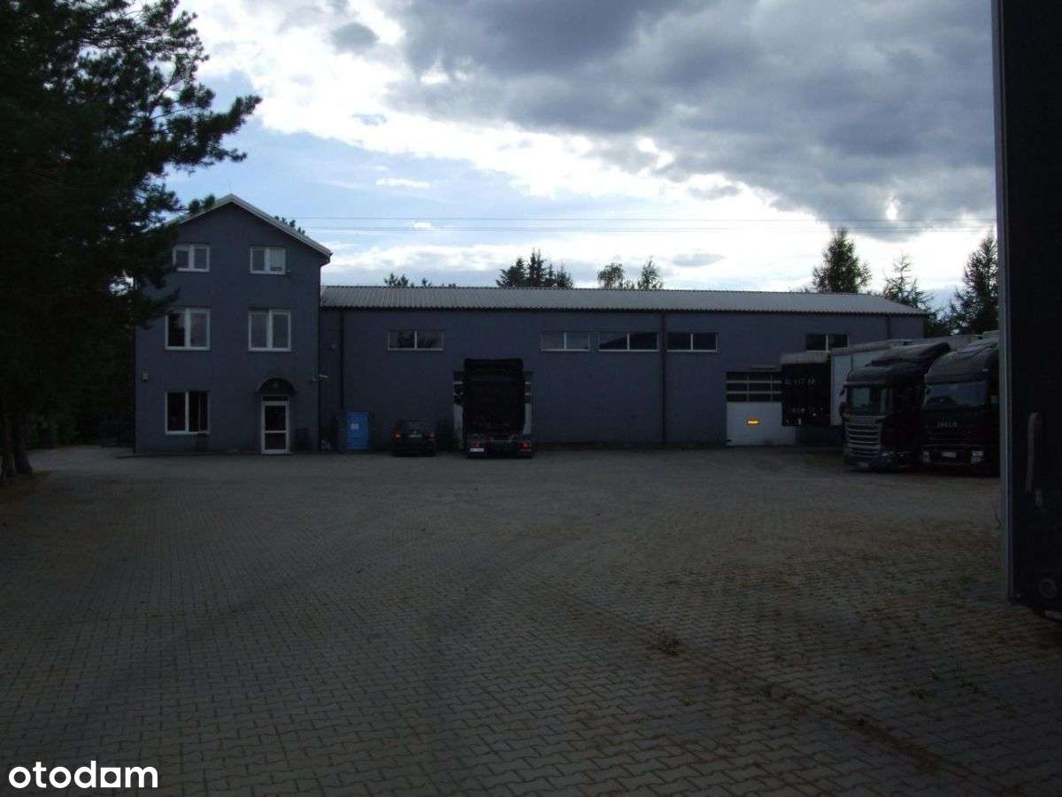 Łazy | 3 domy | 2 magazyny | ogród | staw | basen - Pełny obrazek: 4/20