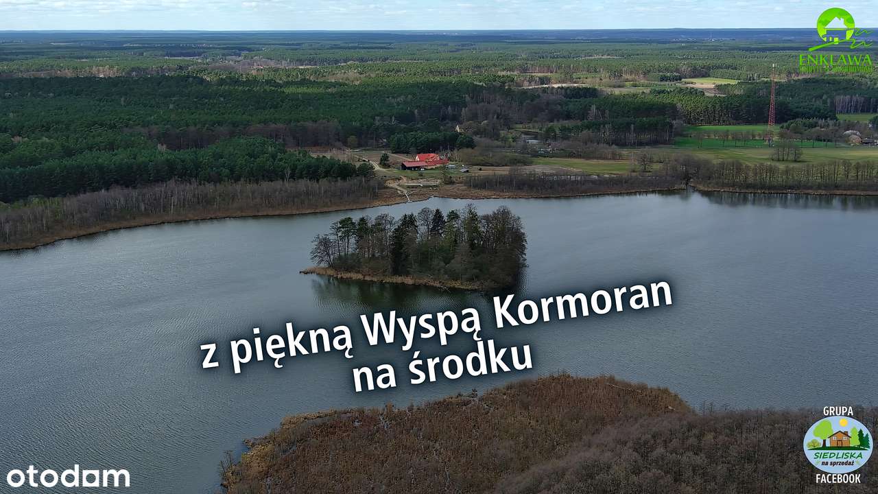 ENKLAWA prezentuje: działka w MEGA okolicy! PUSZCZA NOTECKA + jezioro!-10
