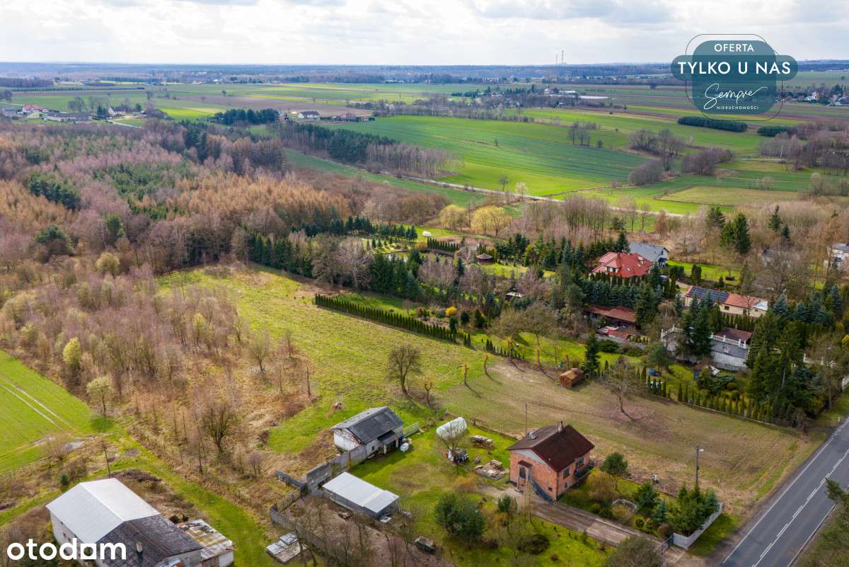 Działka z własnym lasem - Pełny obrazek: 2/16