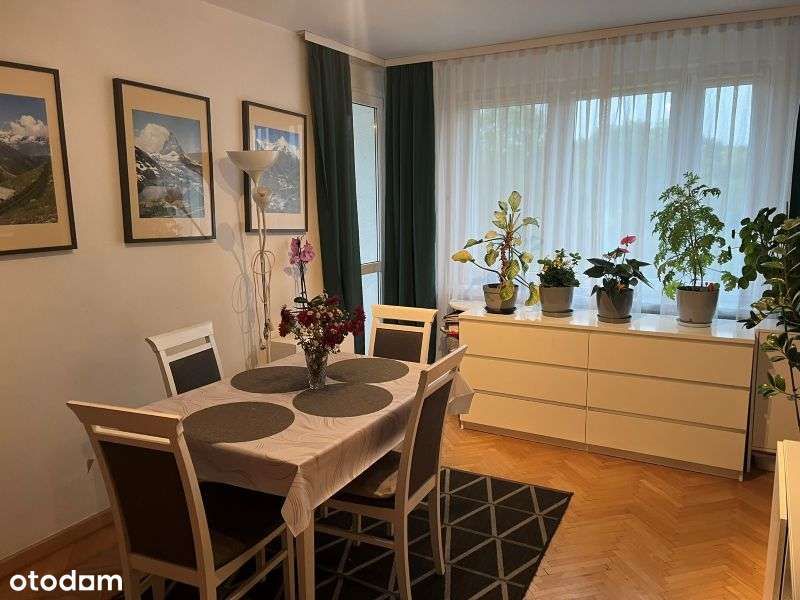 Mieszkanie, 35 m², Poznań - Pełny obrazek: 4/12