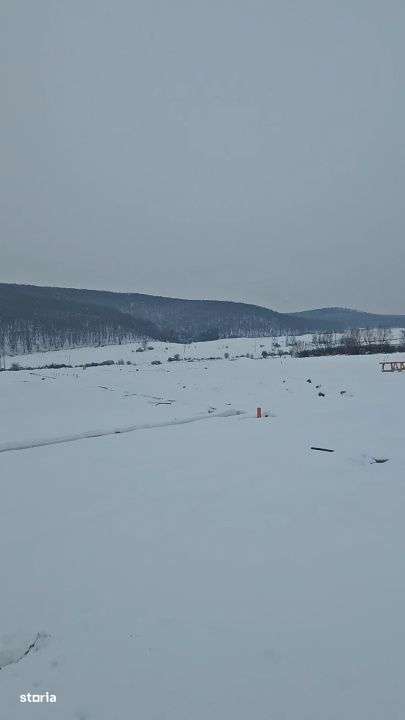 Hala de 600mp, teren de 1200mp, Gilau - Imagine principală: 3/4