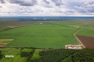 Teren arabil de 630 hectare în Galați