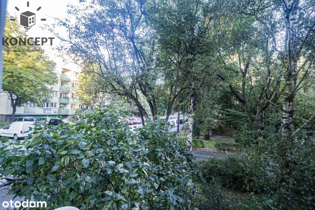 Mieszkanie na Szczepinie, 2 pokoje, rozkład-3