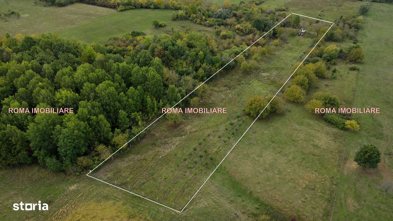 Berchez teren extravilan de vanzare - Imagine principală: 5/7