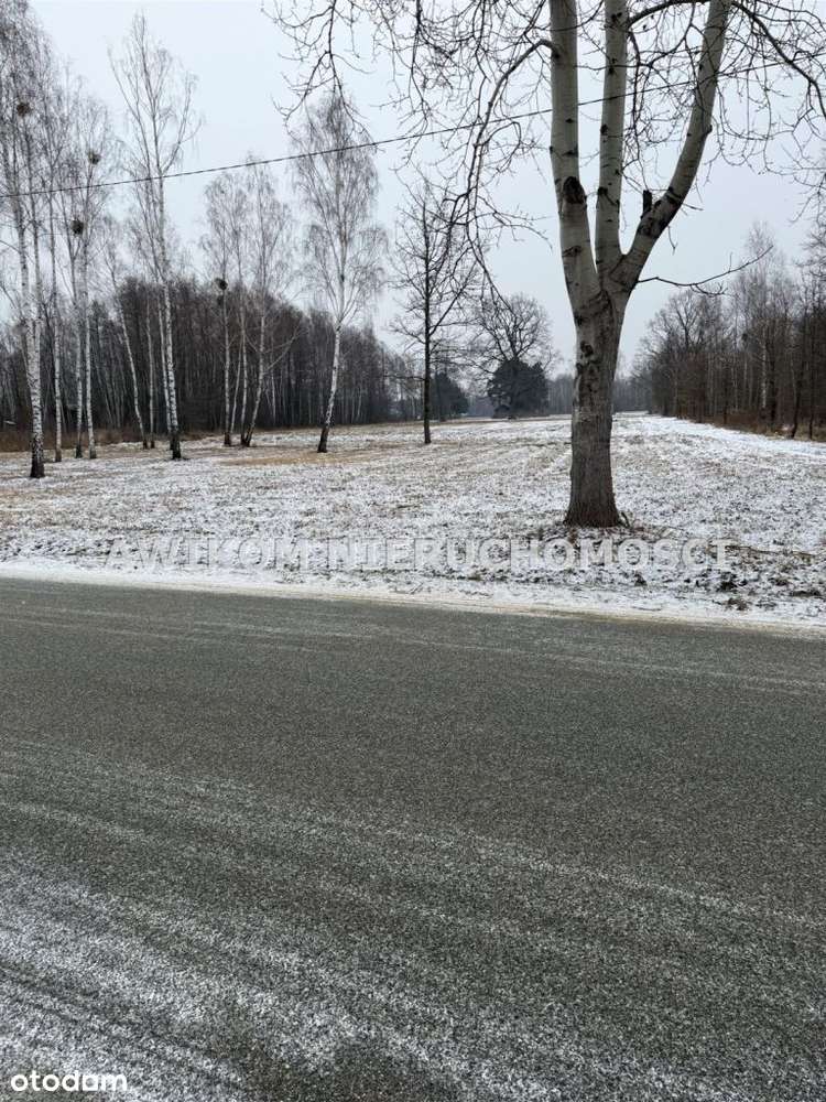 Działka, 24 000 m², Jaktorów-1