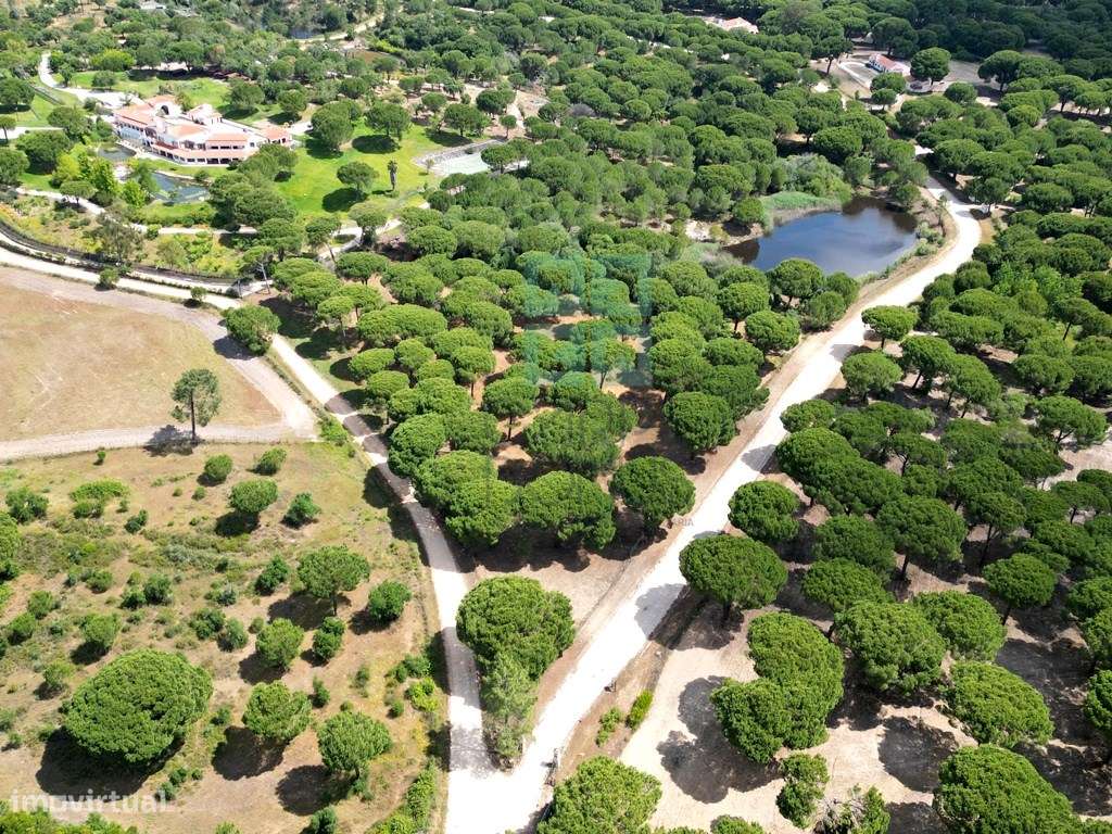 Lote de Terreno de 33.300m2, com lagoa, na Mata do Duque 1, Santo E...-5