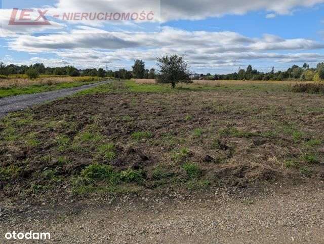 Ciągowice – działka blisko lasu i nowej zabudowy-11