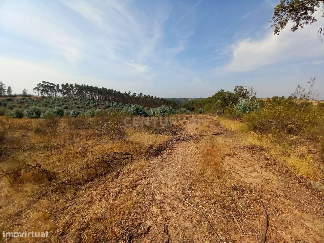 Terreno Rustico com 30960m2 - Grande imagem: 3/10