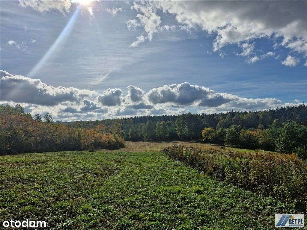 Kraków Skotniki piękna działka rolna - Pełny obrazek: 3/12