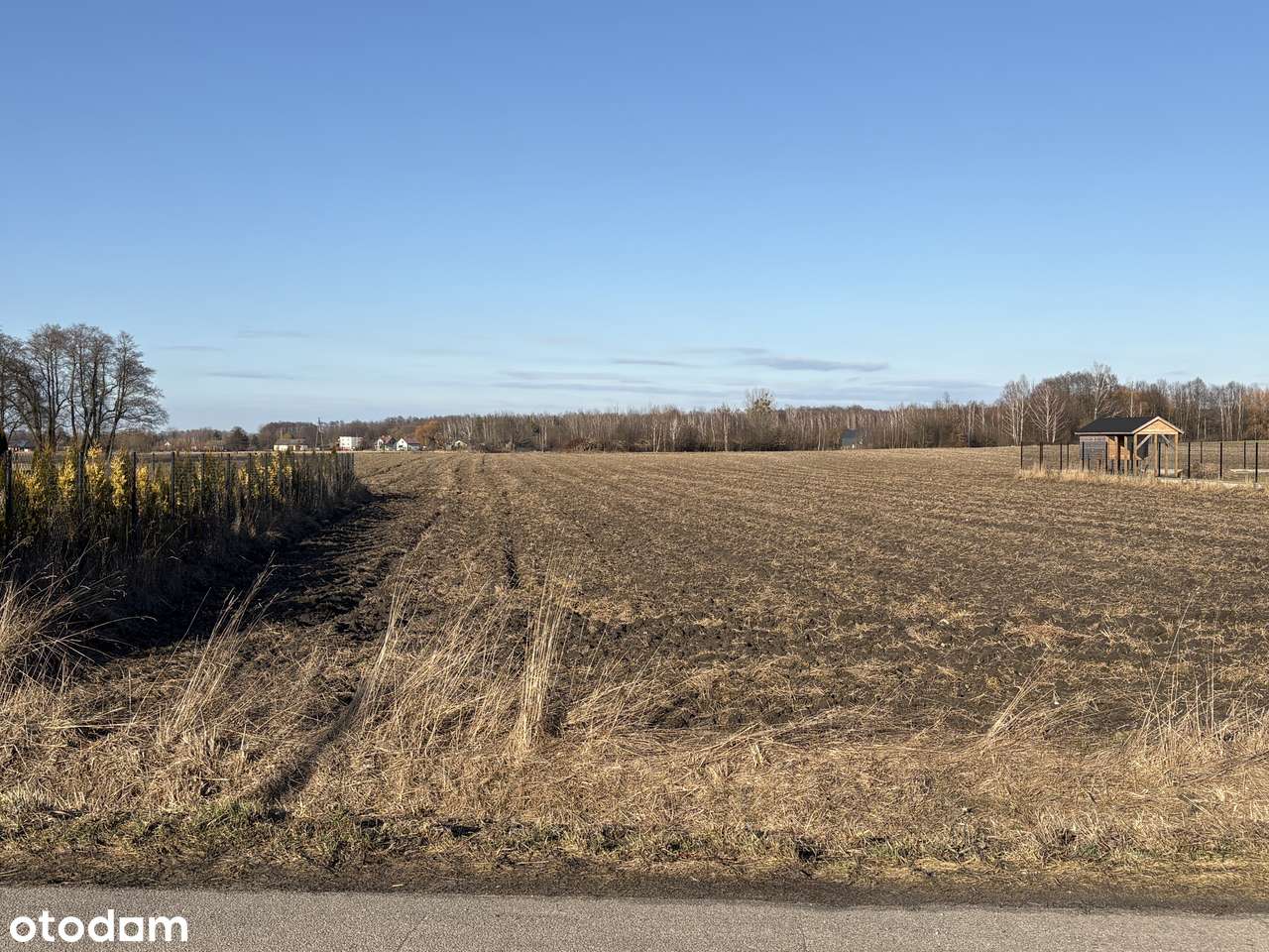 Działka budowlana 1500m2 | Aleksandria-0