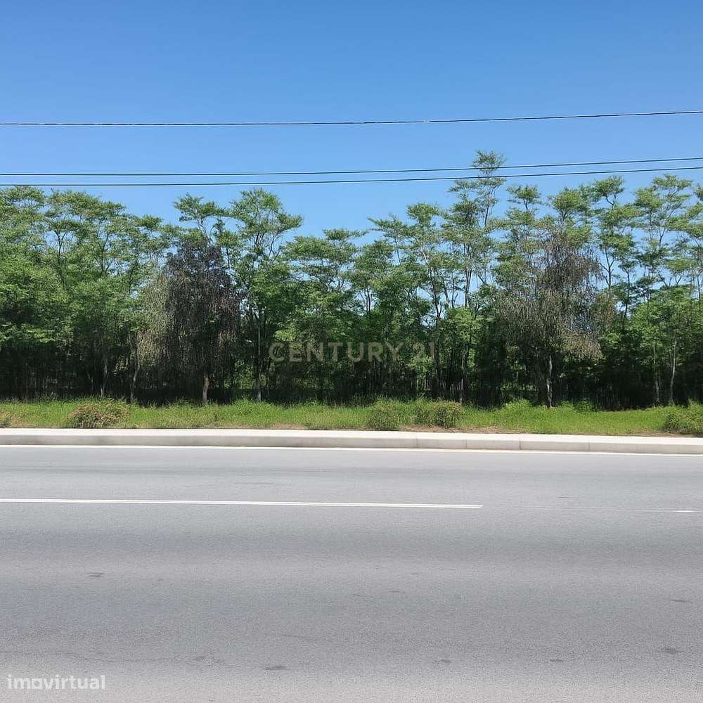 Terreno em Alcácer do Sal com 11.000m2 – Oportunidade Única para Inves-5