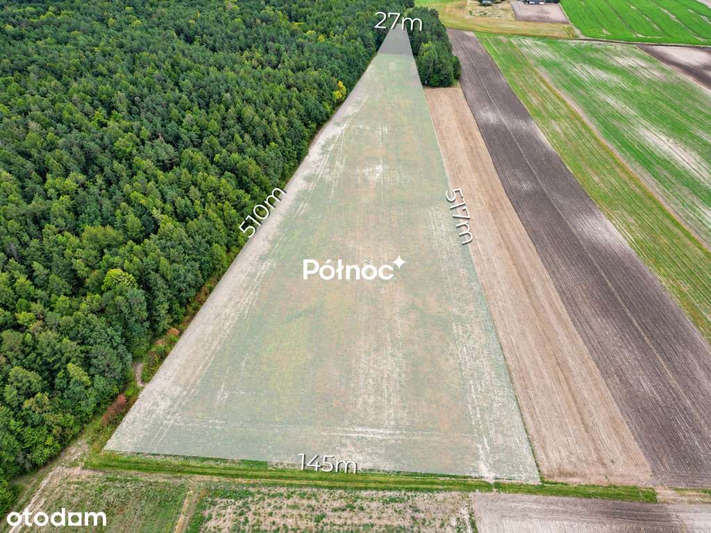 3,71 ha ziemi rolnej  część zalesiona | Depułtycze Królewskie-0