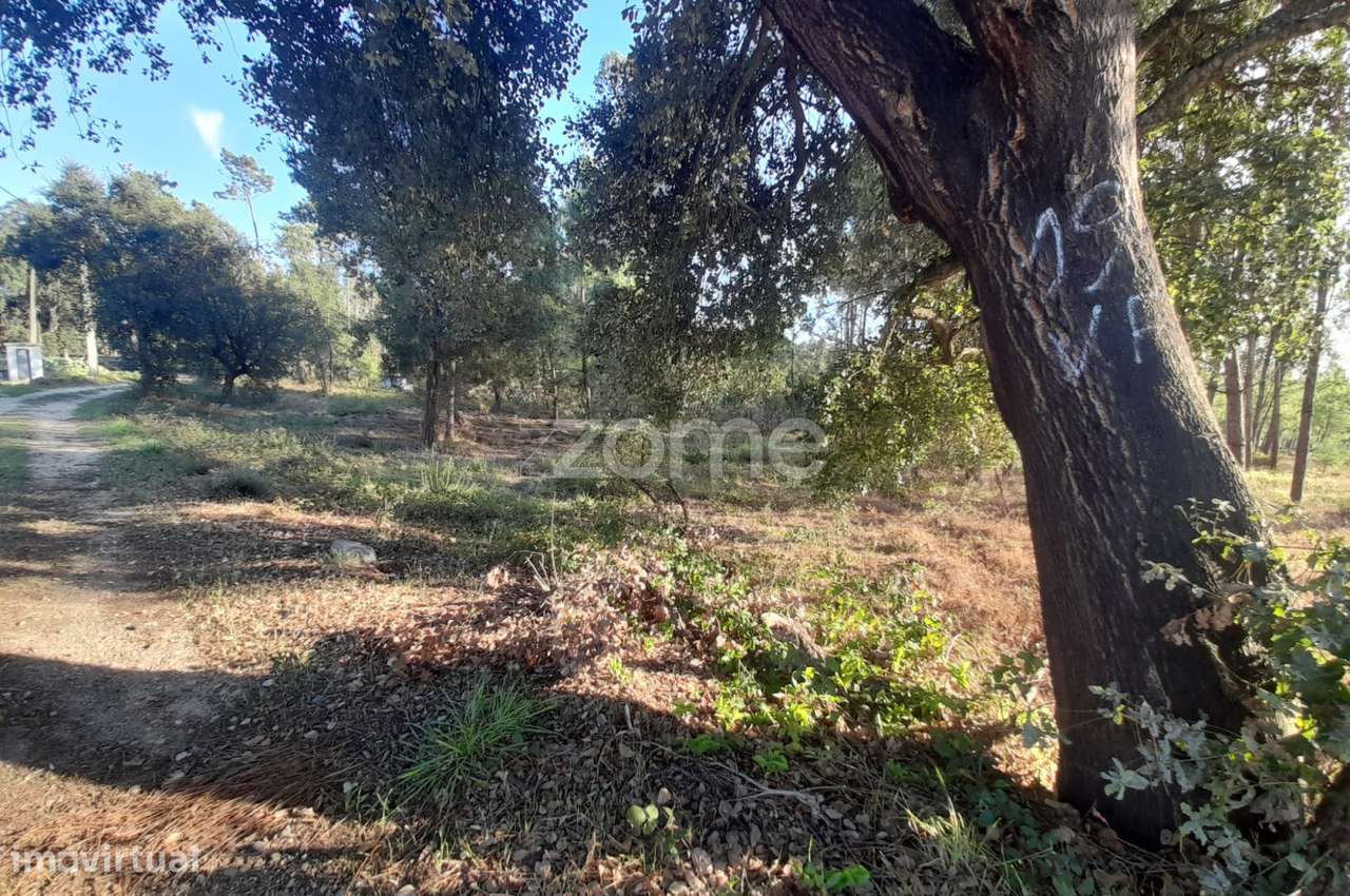 Terreno Rustico - Grande imagem: 2/28