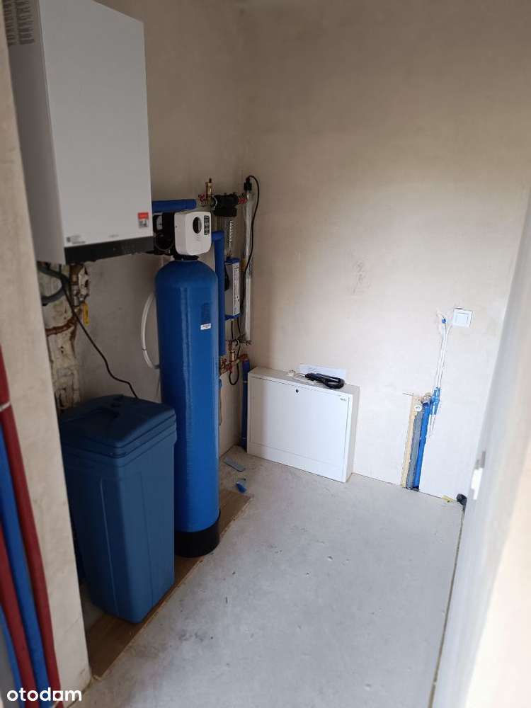 Błażejewko pod lasem, urządzony ogród, w.standard-18