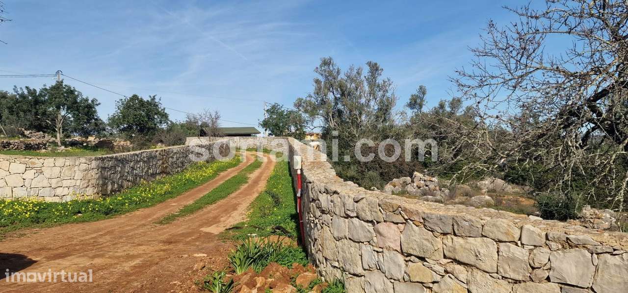 Moradia Devoluta T2 Venda em Moncarapacho e Fuseta,Olhão - Grande imagem: 4/14