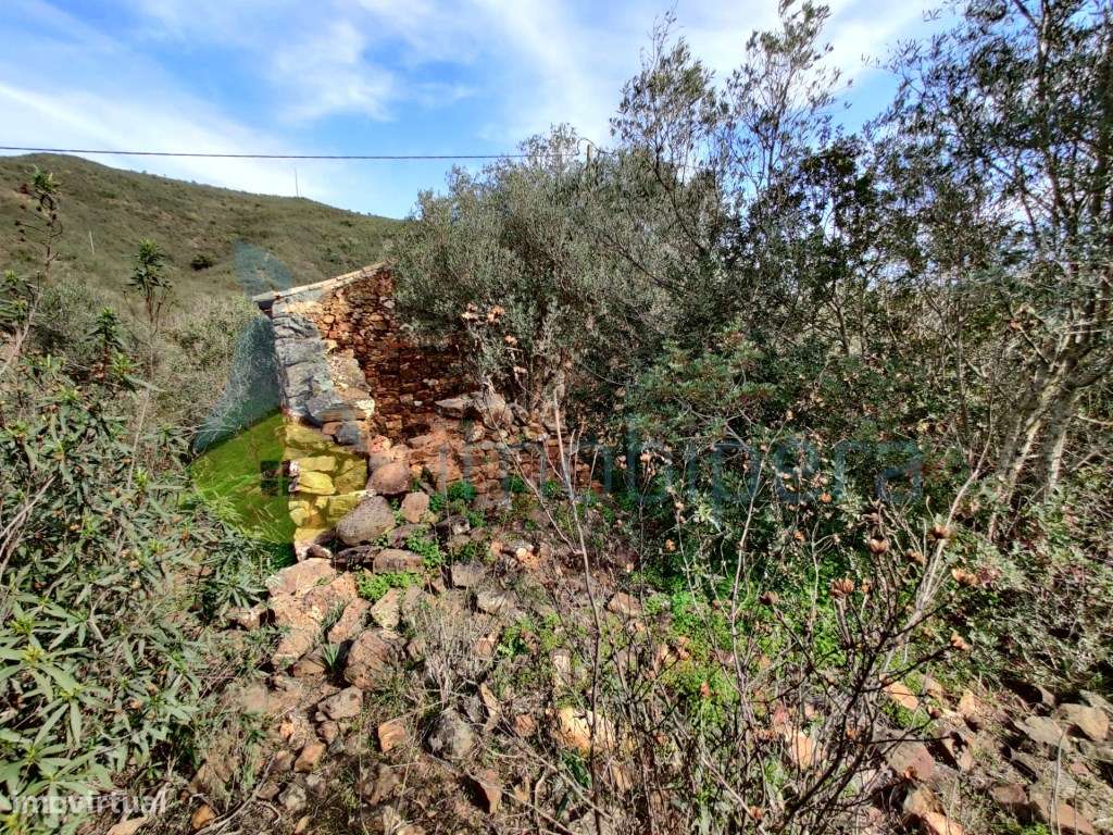 Silves - Terreno com Casa - Junto Barragem Silves - Grande imagem: 3/17