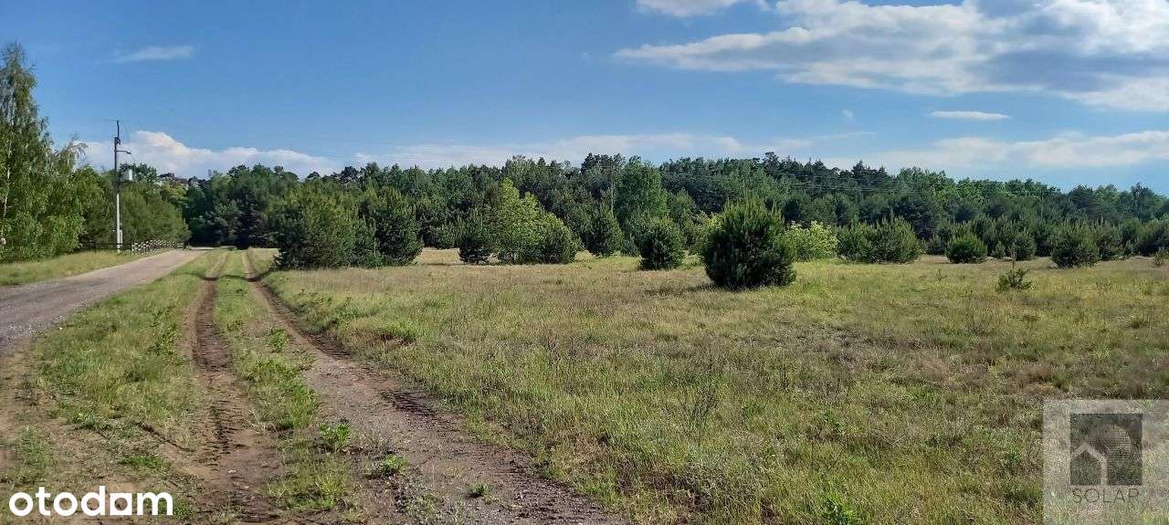 Wyjątkowe, 18km od Bydgoszczy, lokata kapitału! - Pełny obrazek: 5/6