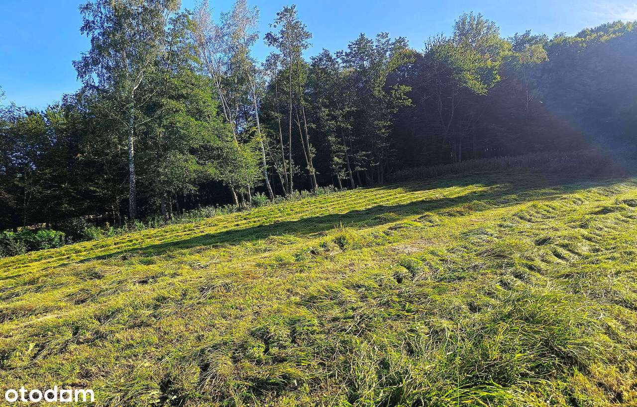 Działki na Roztoczu - Bondyrz-14