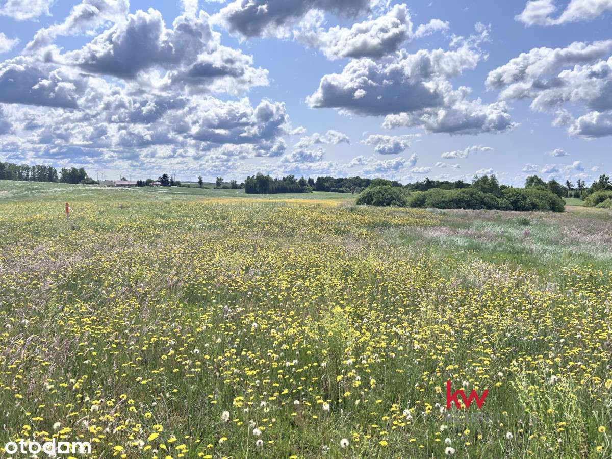 Działka rekreacyjna w Jaromierzu - Pełny obrazek: 4/12