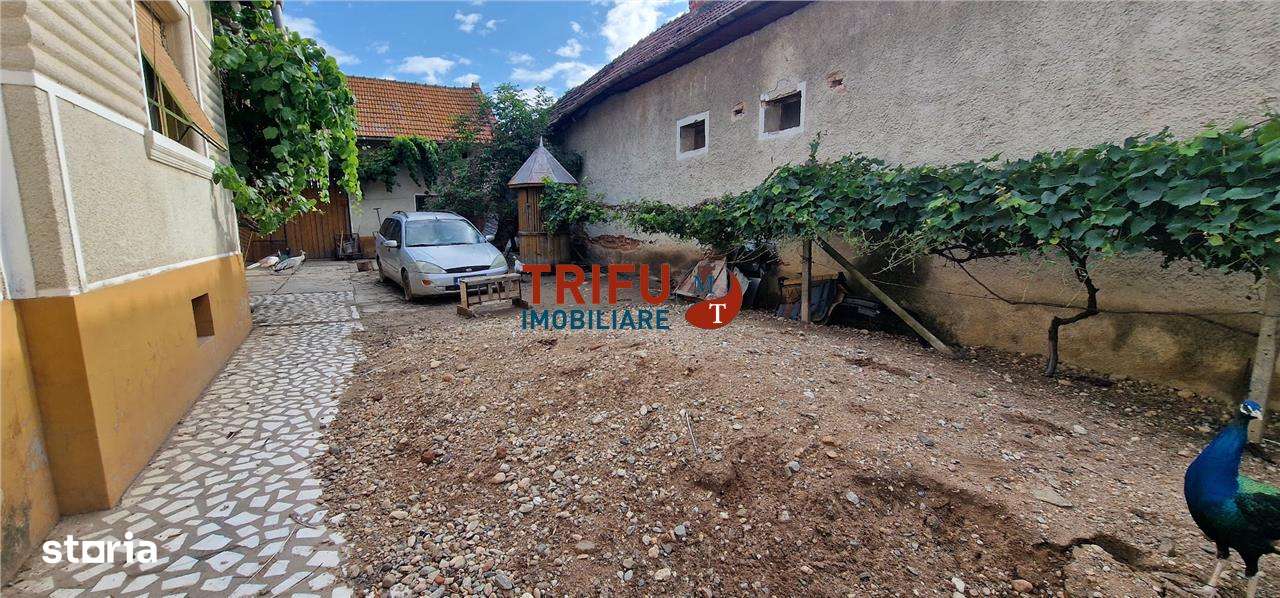 Casa de vanzare cu 1252 mp teren in Ighiu - Imagine principală: 2/10