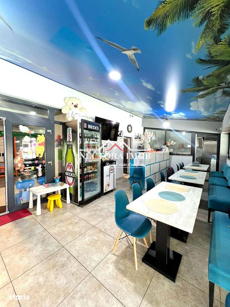 EXCLUSIVITATE-Casa 360 mp + Teren 2000mp + AFACERE LA CHEIE-Zona PALEU - Imagine principală: 4/18