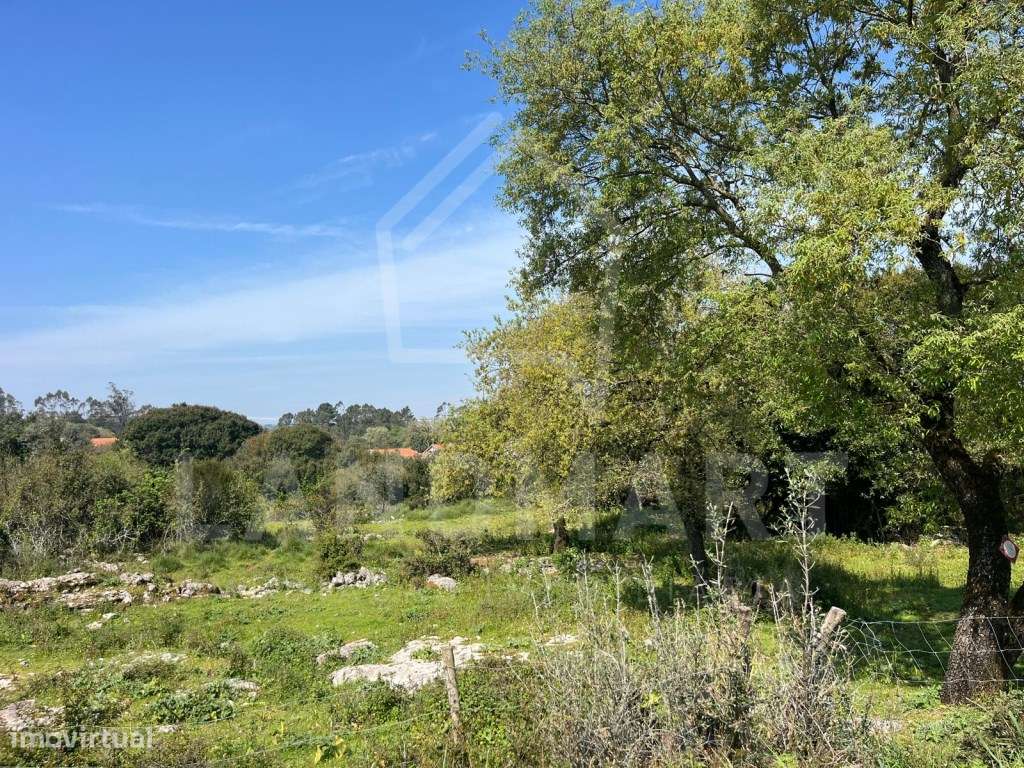 Terreno, Charneca do Rio Seco - Turquel - Grande imagem: 3/3