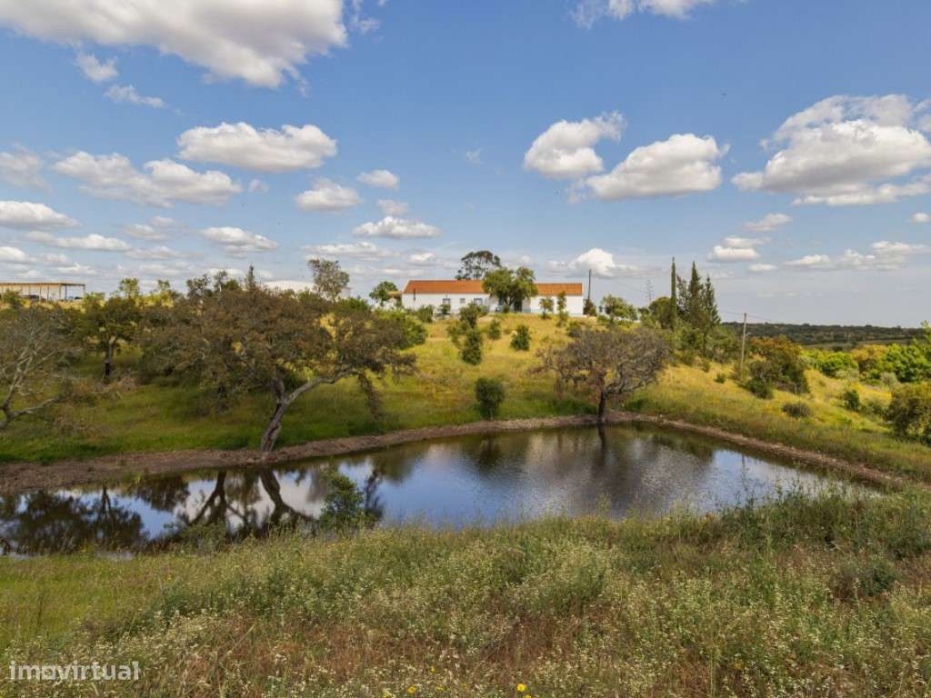 Herdade com vista fantástica para a Serra de Grândola-0