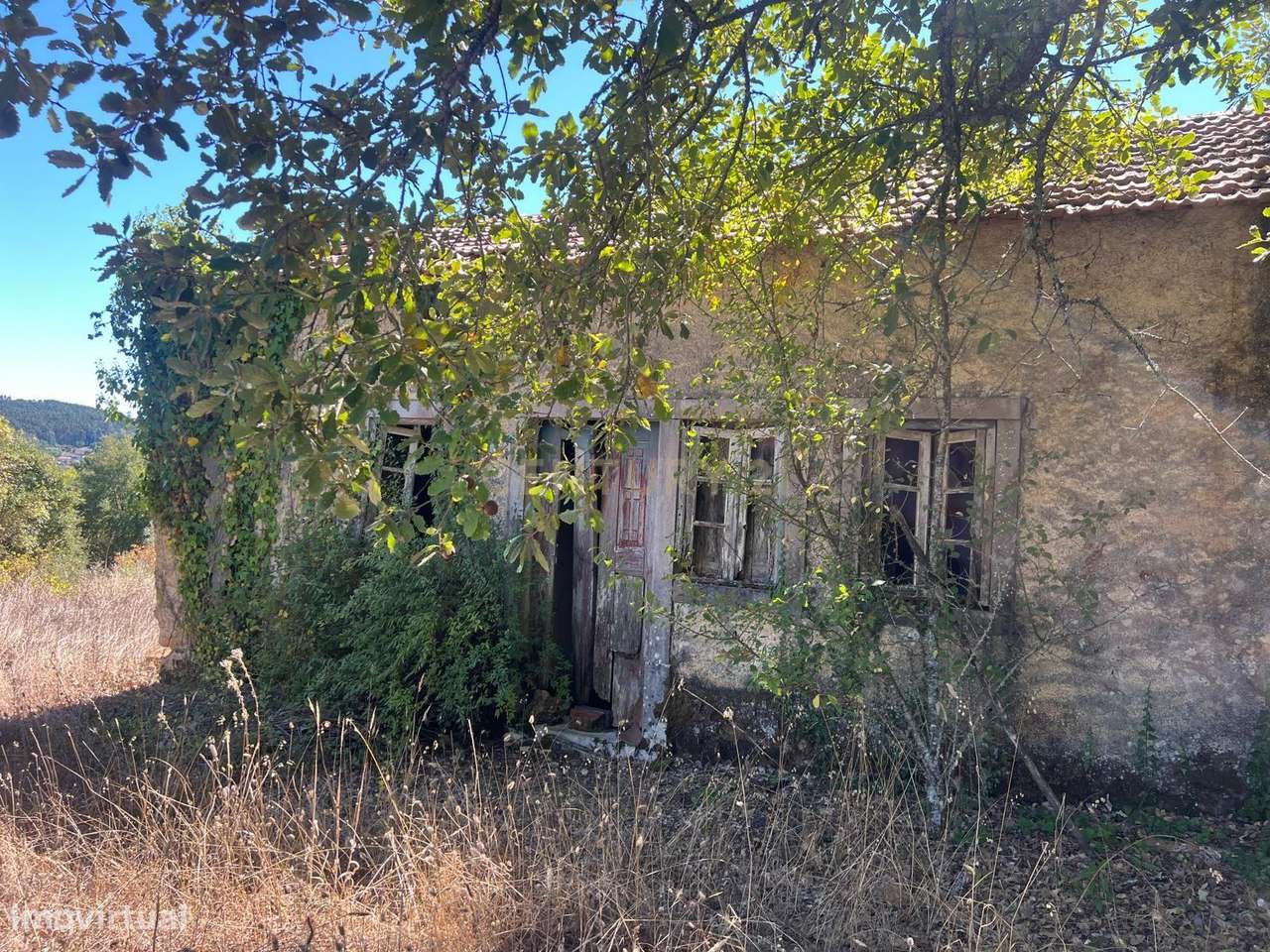 Oportunidade Única – Ruína com Terreno Amplo em Maçãs de Maria - Grande imagem: 2/7