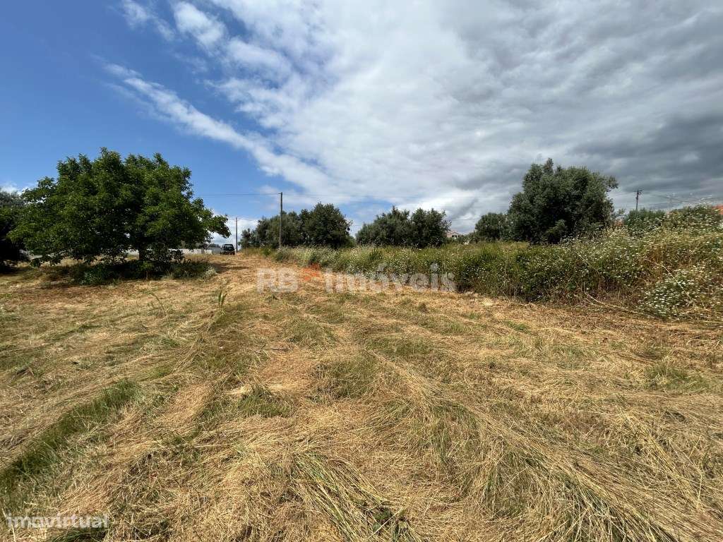 Terreno rústico com malha urbana - Tomar - Grande imagem: 4/14