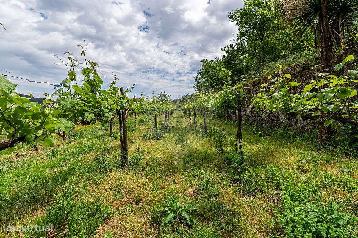 Quinta  para venda - Grande imagem: 5/49