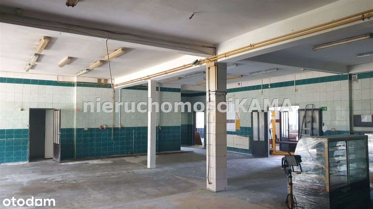 Hala/Magazyn, 1 035 m², Bielsko-Biała - Pełny obrazek: 5/18