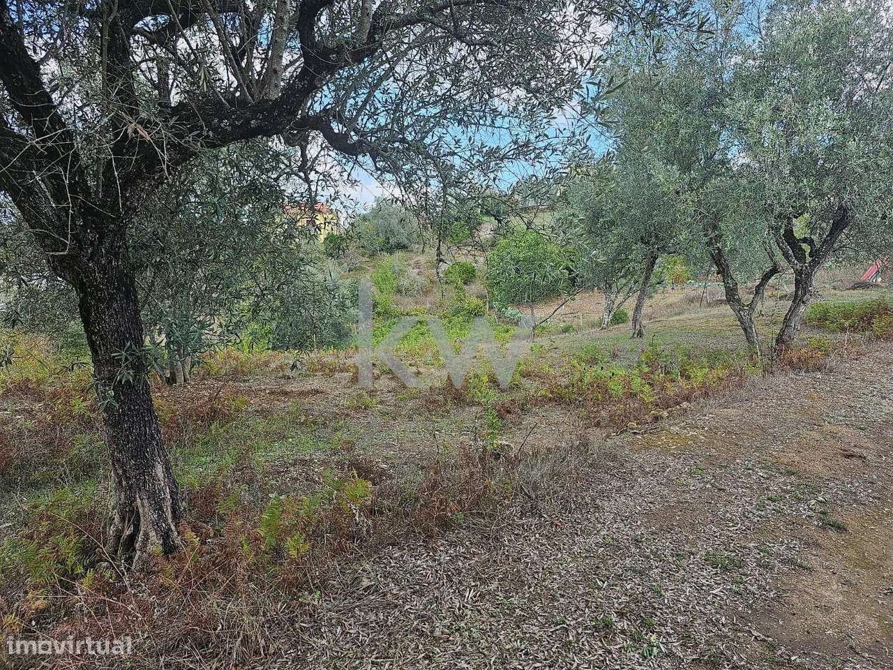 Terreno Rústico | Casal do Lobo | Santo António dos Olivais | Coimbra - Grande imagem: 4/8