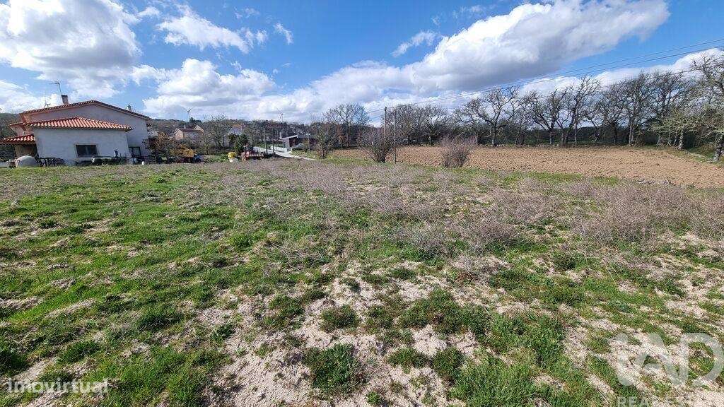 Terreno em Pêra do Moço - Grande imagem: 4/15