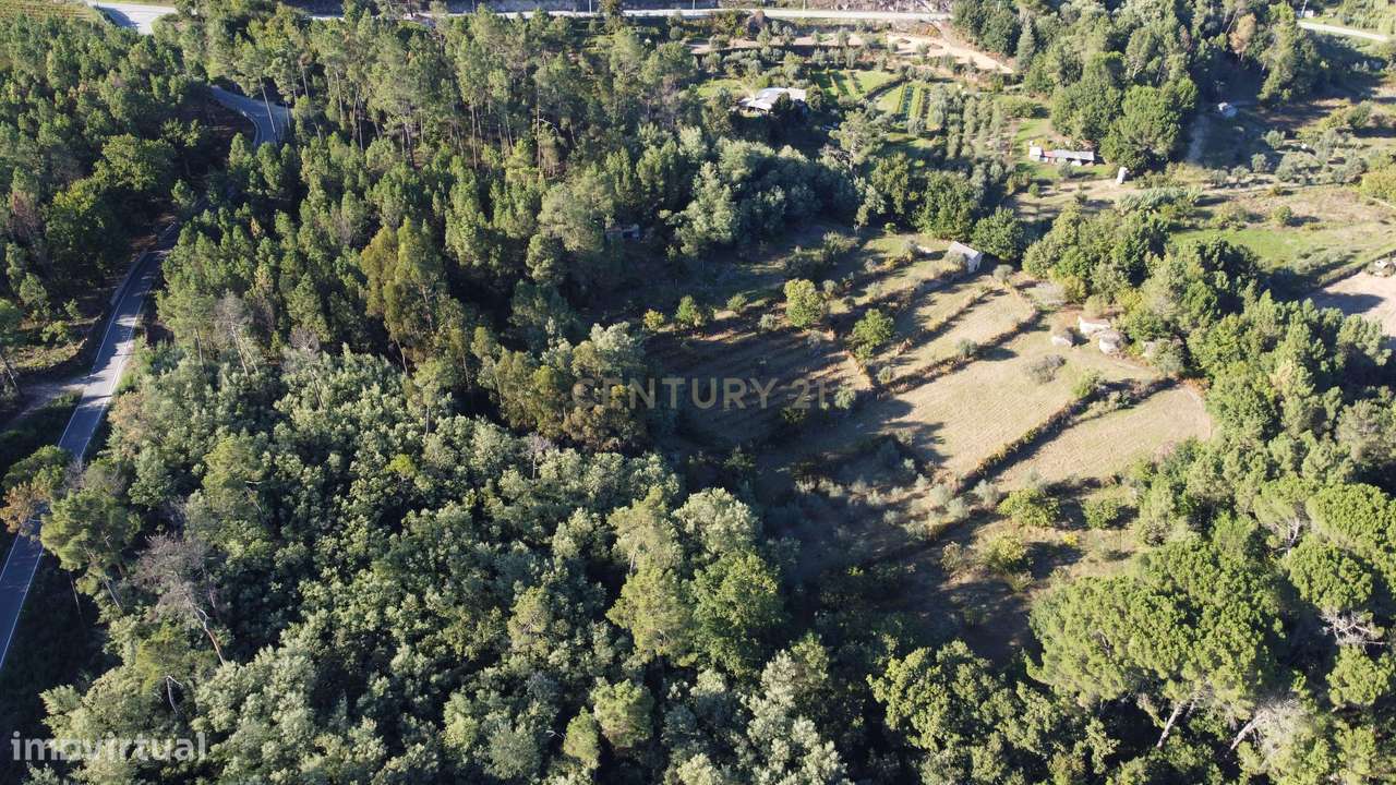 Quintinha próxima da Barragem de Fagilde, Rio Dão - Grande imagem: 3/17