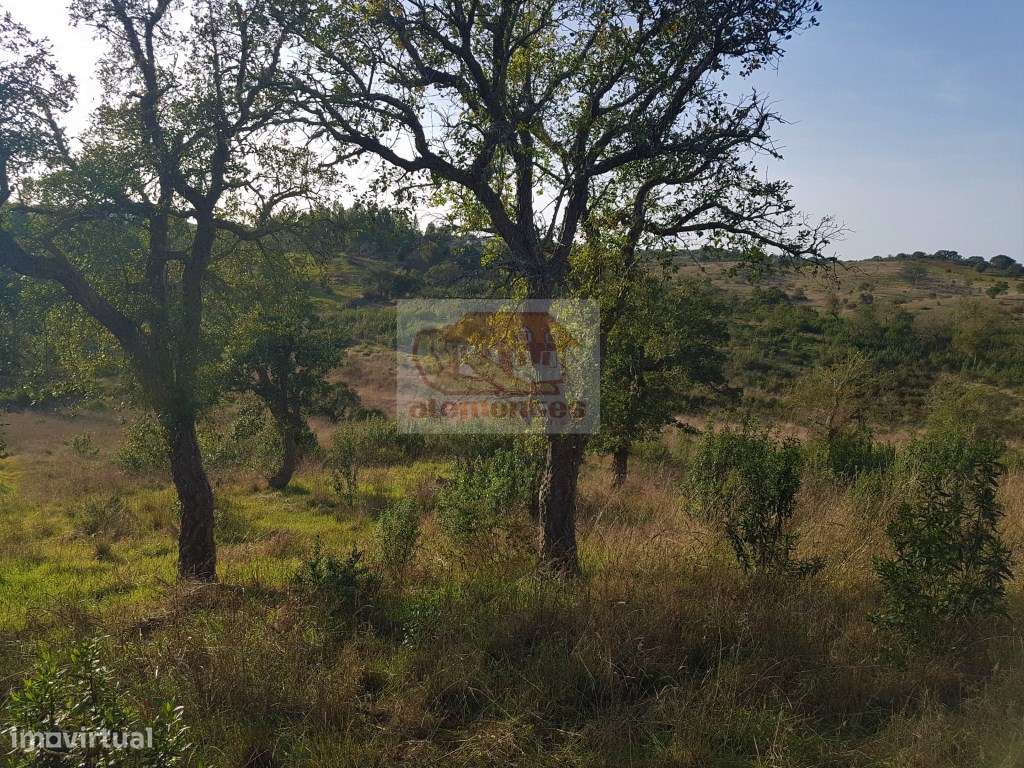 Terreno na serra com vista típica alentejana! - Grande imagem: 5/12