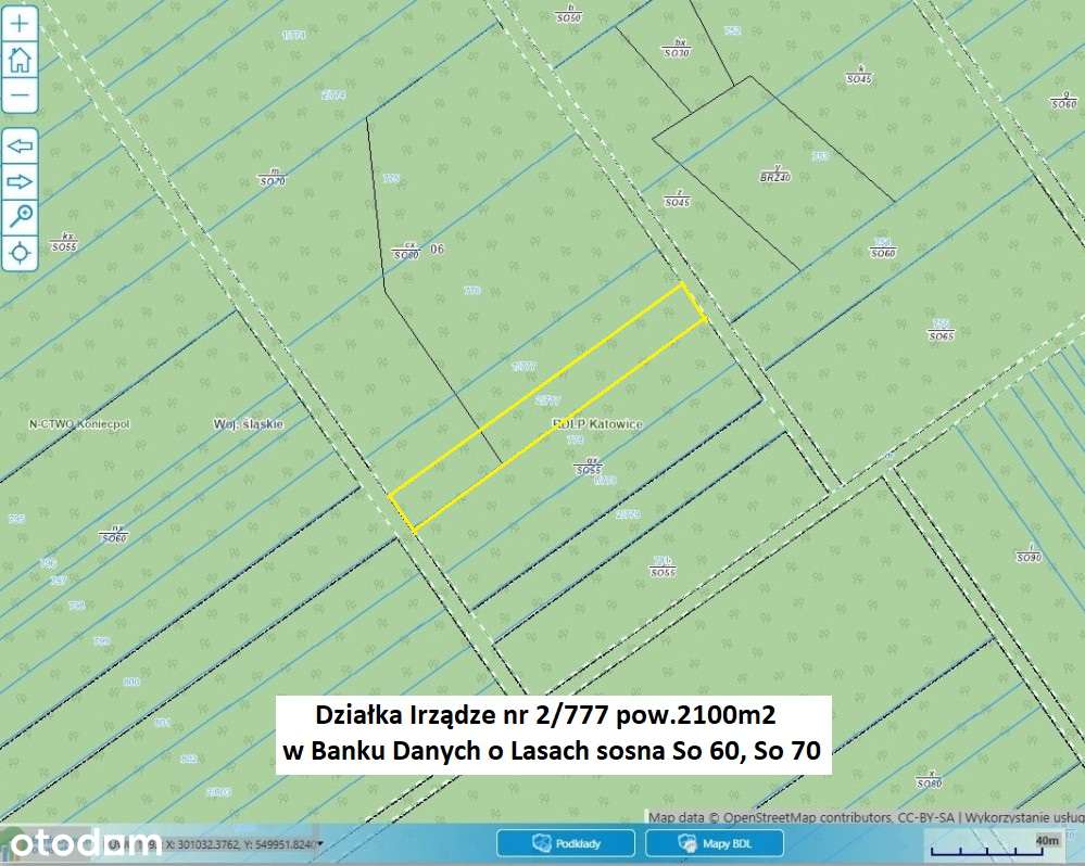 Najtańsza działka leśna na Śląsku 2100m2 (K-ce 70km,Kraków 82km) - Pełny obrazek: 2/20