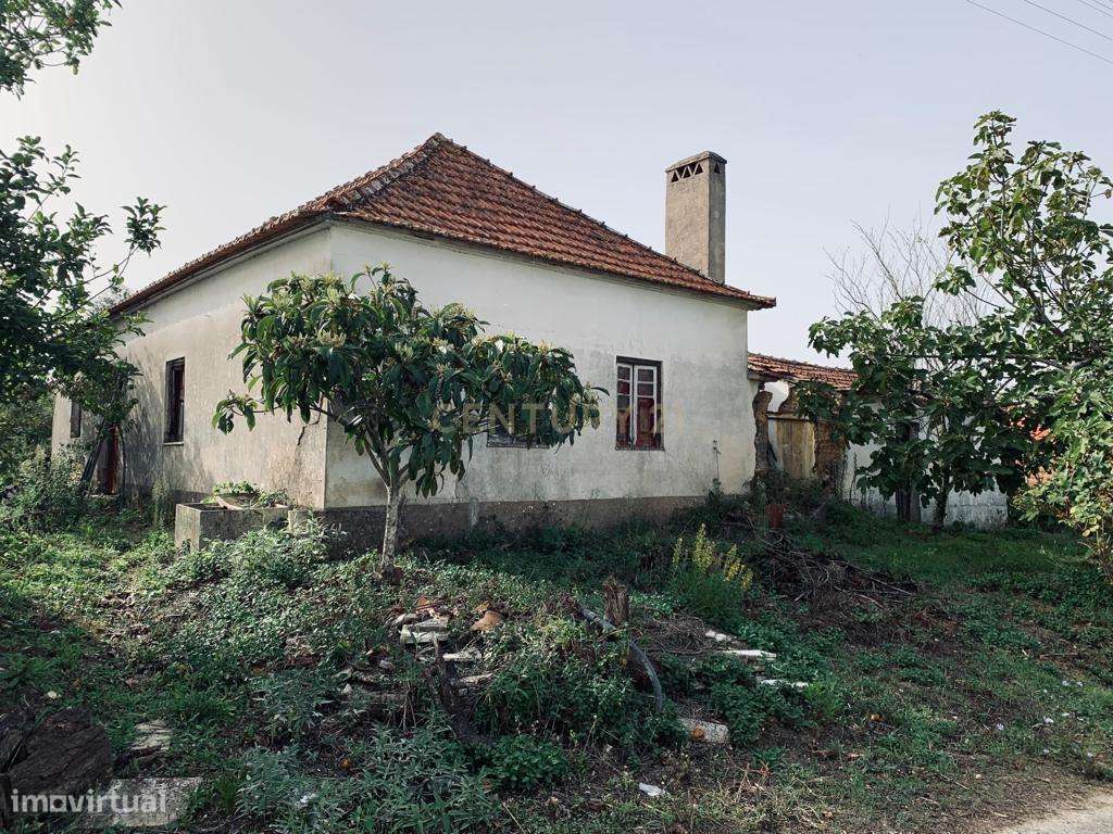 Moradia T3, Infesta, Pombal - Grande imagem: 5/20