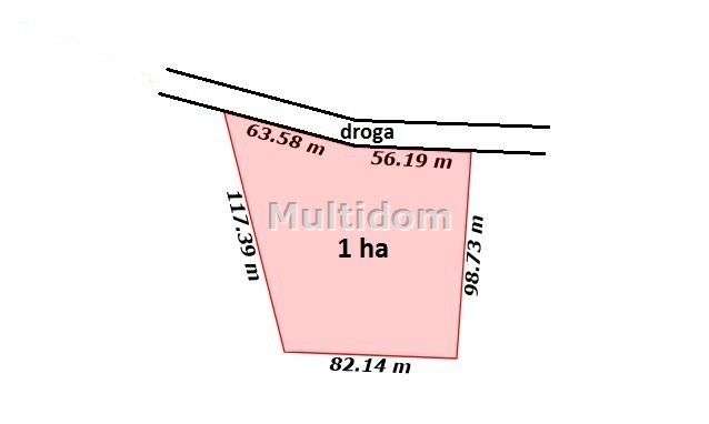 Duża Działka Budowlana 1ha Mazańcowice - Pełny obrazek: 4/4